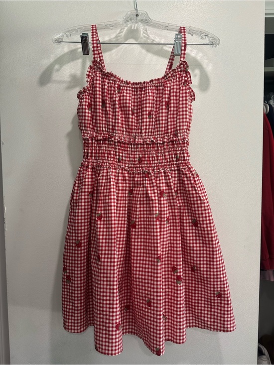 Abercrombie & Fitch Dresses & Skirts - Abercrombie & Fitch Red Gingham Smocked Strap Dress with Strawberry Print